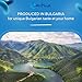Bulgarian Yogurt Starter Culture Natural Probiotic Yogurt Culture Starter Homemade Yoghurt Starter 10 Liters Lactobacillus bulgaricus (yoghurt)