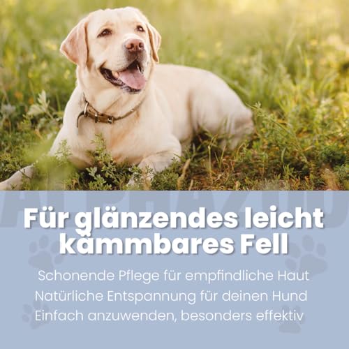 alphazoo Sensibelchen Fellspray für Hunde 250 ml - schonende Fellpflege bei empfindlicher Hundehaut mit Sheabutter, Aloe Vera & Jojobaöl - Einfache Anwendung - Ideal für Sensible Hunde