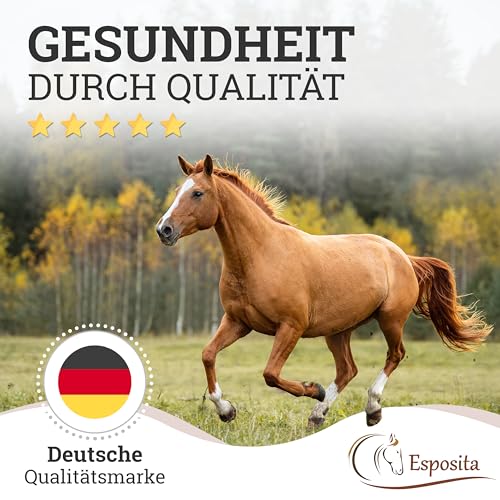 Esposita elastische Longierhilfe Pferd Pony Körperband Pferde Bodenarbeit Zubehör Longier Set Körperbandage Longiersystem Trainingssystem