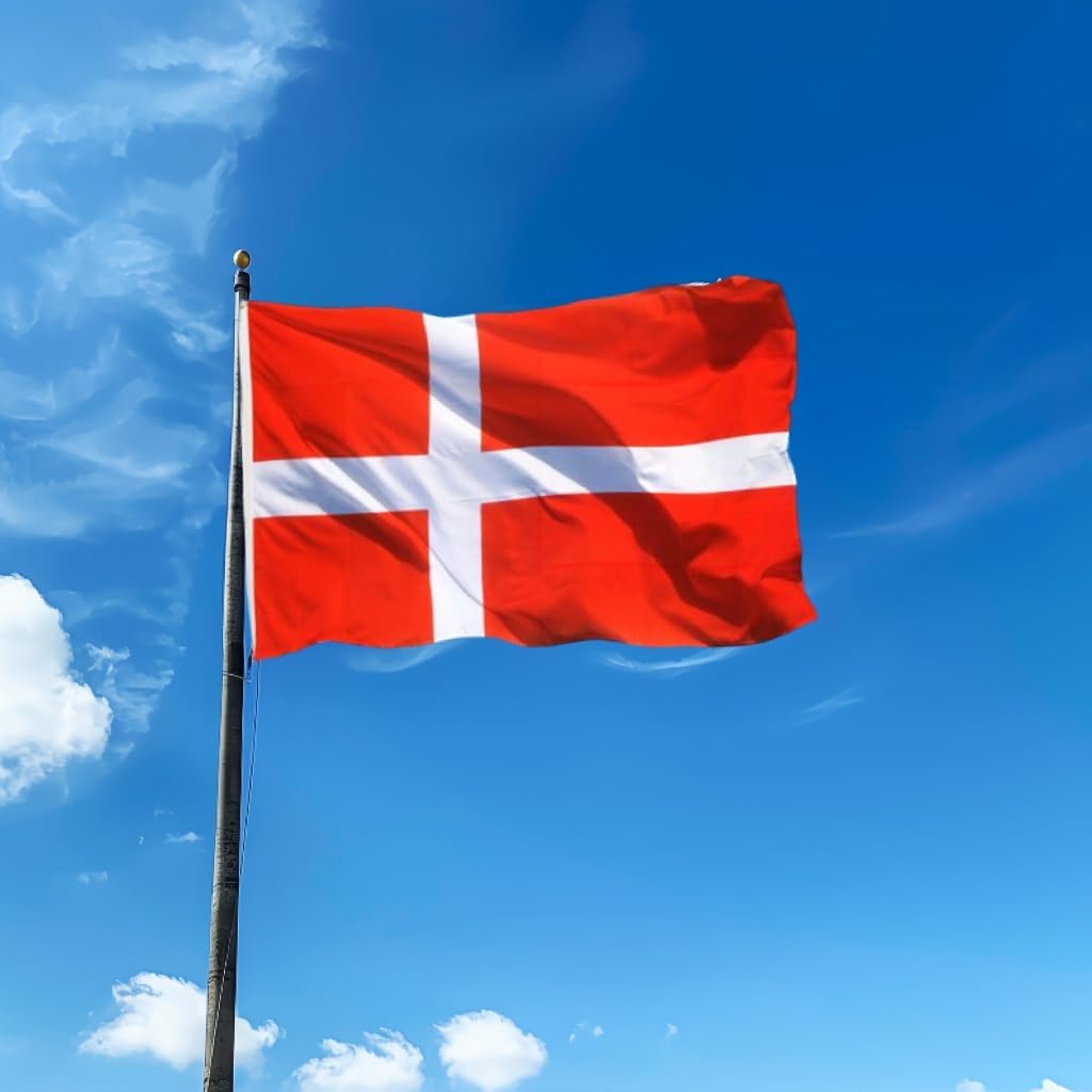 Double Sided 3ply Denmark Flag 3x5 FT, Danish National Flag,Dane Outdoor Flags- Vivid Color, All Weather, Double Stitched Danish Flags,Polyester Flags with Sturdy Brass Ring. (3ply 3x5)