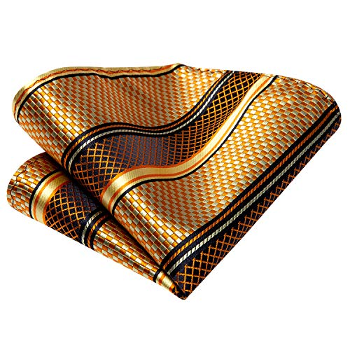 Image of Dubulle Mens Paisley Floral Silk Tie for Men Striped Necktie and Pocket Square Cufflinks Set Wedding Business