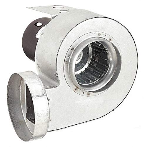 Replacement Support Plate