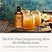 P&J Trading - Apple Cider Scented Oil 100ml - Fragrance Oil for Candle Making, Soap Making, Diffuser Oil