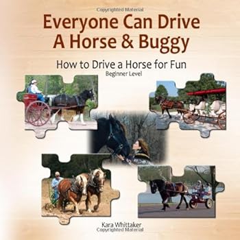 Paperback Everyone Can Drive a Horse & Buggy: How to Drive a Horse for Fun - Beginner Level Book
