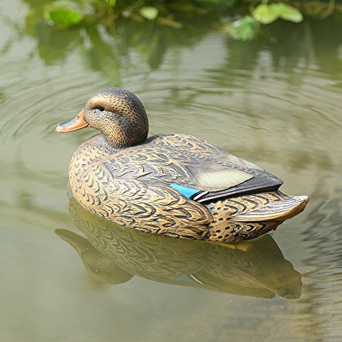 Sharplace Kunststoff Lockvogel - Schwimmend Ente Henne Köder Jagd...