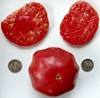 Brandywin- Semillas de tomate orgánicas, 40 semillas, color rosa