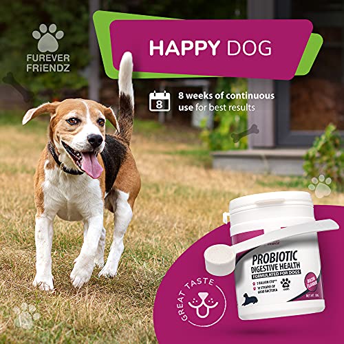 Dog Probiotic Powder – Bacon Flavour Probiotic for Dogs – Dog Digestive Supplements w/No Gluten or Dairy – Mix-In Powdered Probiotics for Dogs Powder by Furever Friendz - 4