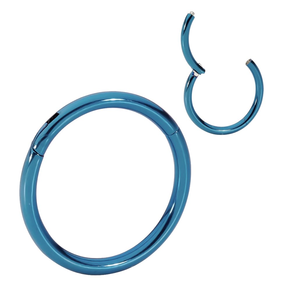 365 SLEEPERS 1pc 316L Surgical Steel Nose Rings 20G 18G 16G 14G 12G 10G 8G 6G 4G 2G Septum Jewellery Hinged Segment Ring Body Piercing Hoop Lip Rings Helix Cartilage Rook Earrings — view 15