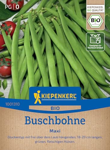 Produktbild Kiepenkerl Saatgut BIO Buschbohnen Maxi für ca. 5 - 7 m²