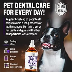 Teeth-Gum-Spray-for-Dogs-and-Cats--Dental-Formula-for-Dog-Mouth-Rinse-Cat-Mouth-Care--Cat-Dog-Fresh-Breath-Clean-Teeth-No-Pain-Or-Burning--Dog-Plaque-and-Tartar-Remover-4-Oz - Cucciolini Doodles   Teeth-Gum-Spray-for-Dogs-and-Cats--Dental-Formula-for-Dog-Mouth-Rinse-Cat-Mouth-Care--Cat-Dog-Fresh-Breath-Clean-Teeth-No-Pain-Or-Burning--Dog-Plaque-and-Tartar-Remover-4-Oz