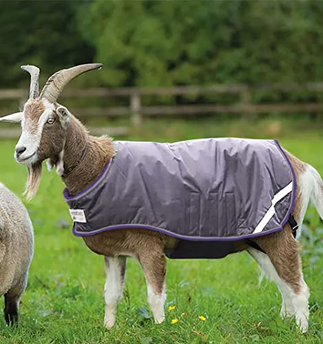 Image of Horseware Goat Rug - Excalibur /Silver & Strong Blue & Black, Triple Extra Large