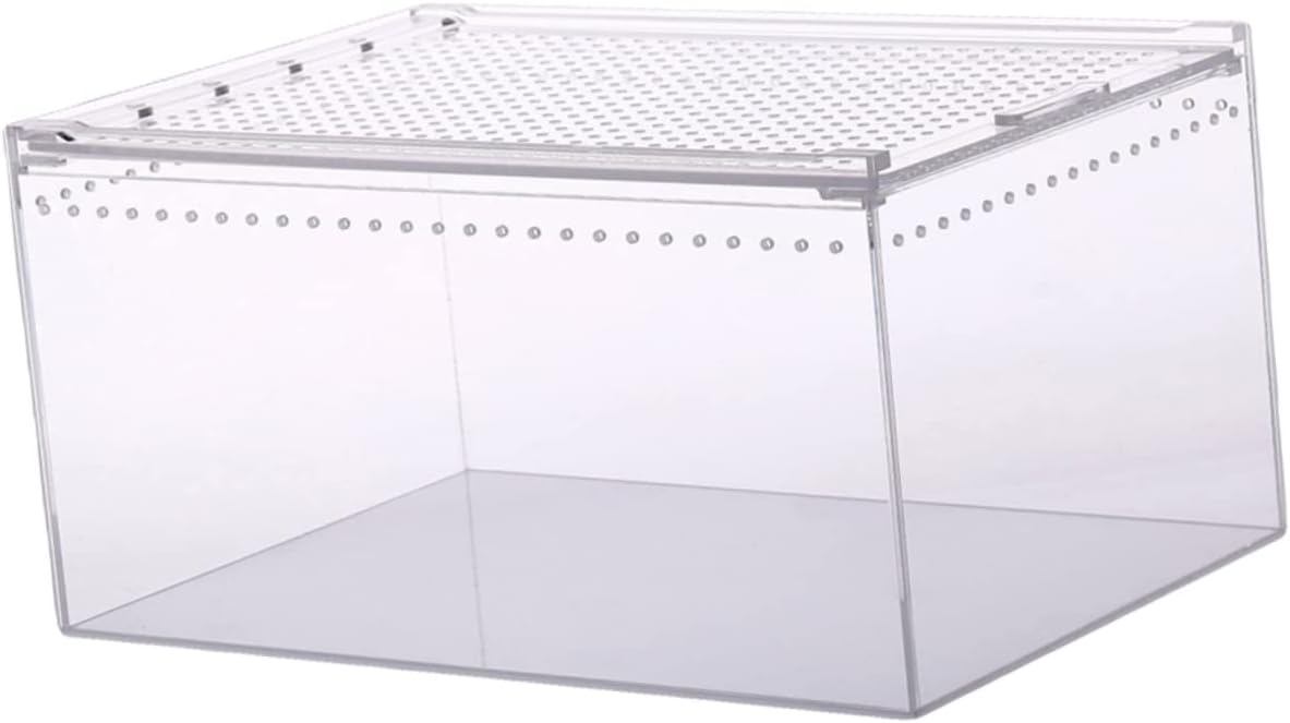 Acrylic Reptile Cage Tank Leak Climbing Pet Box Safe for Frogs Spiders Snakes