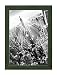 FRAMO 35 mm Puzzle Bilderrahmen 50 x 70 cm, Farbe: Grün Gewischt, handgefertigter MDF Rahmen mit bruchfester Anti-Reflex Kunstglasscheibe, Rahmen Breite: 35 mm, Außenmaß: 55,8 x 75,8 cm