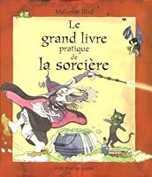 Le Grand Livre Pratique De La Sorcière En 10 Leçons 2909421406 Book Cover