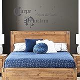 INDIGOS UG Wandtattoo - Wandaufkleber - Wandtattoo Carpe Noctem - 135cm x 58cm dunkelgrau - Dekoration Küche Wohnzimmer Wand