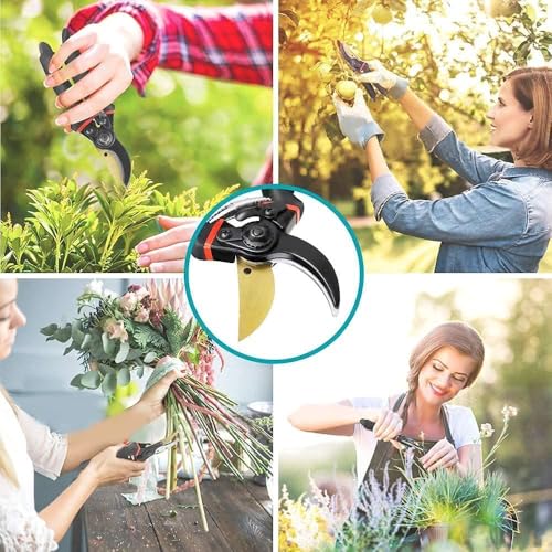 Image of 8 Inch Gardening Scissors for Plants & Branches, Sharp Garden Pruning Shears, Tree Branch Cutter & Wood Branch Trimmer, Gardening Tool for Home Garden, Black, Pack of 1