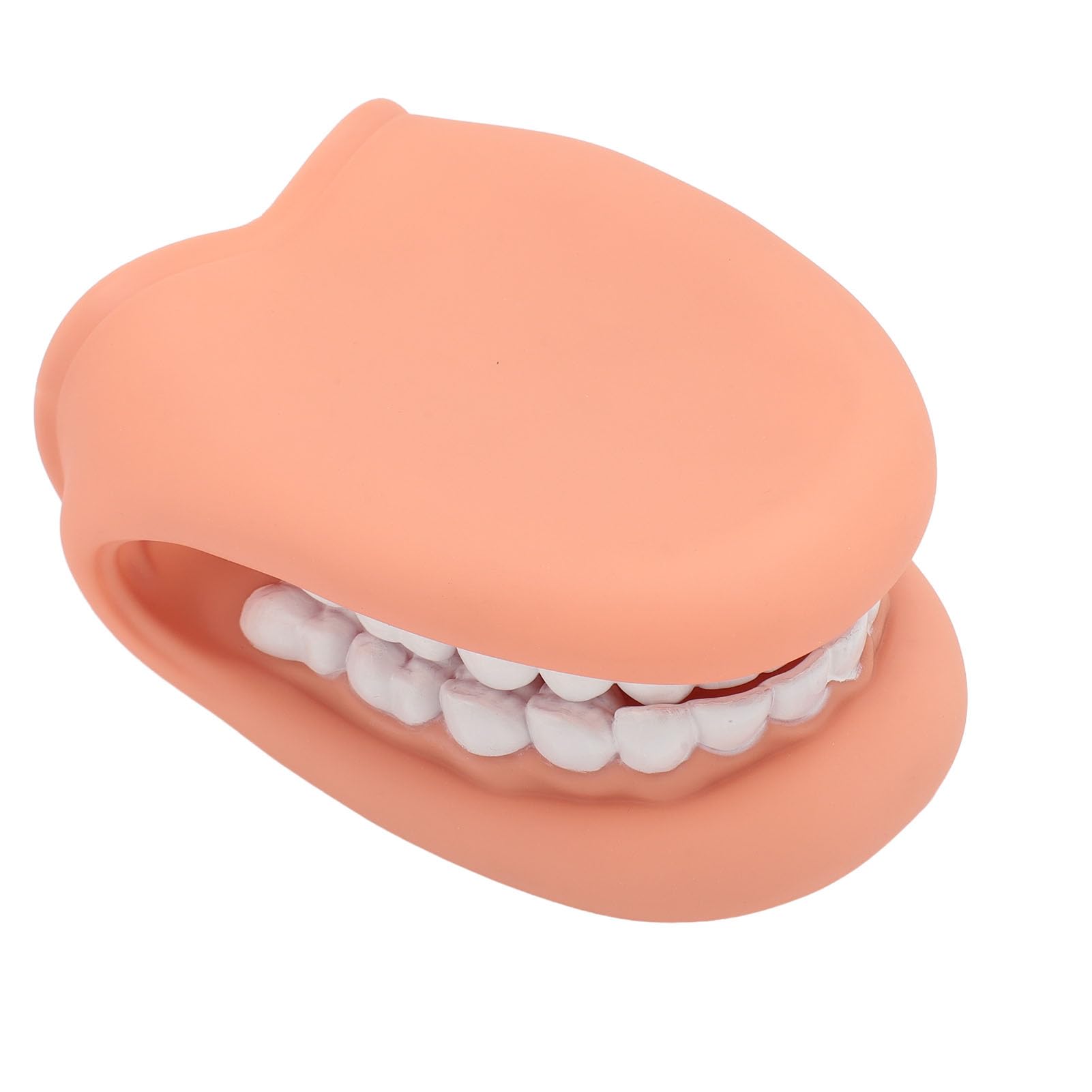 Modèle de Soins Dentaires-modèle de Bouche, Marionnette Buccale de Démonstration D'orthophonie en Silicone à 28 Dents avec Langue pour Enfants, Facile à Nettoyer, Matériau de