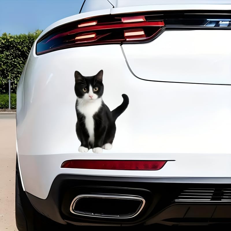 Waterproof Vinyl 5.5 Inch cat Sticker, Car Stickers, car Decals, Bumper Stickers, Decals for Vehicles, 2-Pack, Easy to Apply & Remove, for Car, Laptop, Door, Wall Decoration - Image 3