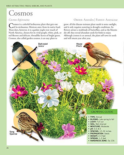 Garden Secrets for Attracting Birds, Second Edition: A Bird-by-Bird Guide to Favored Plants (Creative Homeowner) Turn Your Yard into a Pollinator Paradise for Hummingbirds, Sparrows, Finches, and More - Image 6