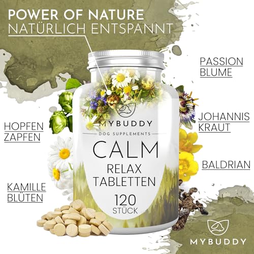 Beruhigungsmittel für Hunde: MyBuddy Calm Relaxtabletten im Vergleich