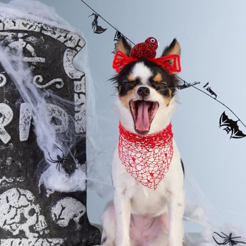 Accesorios Halloween para Perro Bandana y Diadema miniatura 5