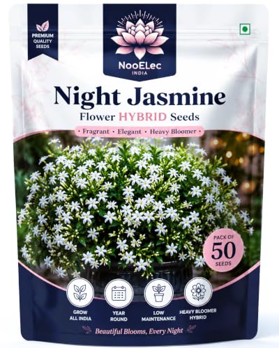 Image of Night Jasmine Flower Seeds Pack- Heavy Bloomer - Hybrid