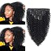 Kinky Curly Clip Ins Hair Extensions 16Inch Brazilian Curly Human Hair Extension 21 Clips 10 Pieces 3C 4A Afro Kinkys Curly Clip In 120Gram African American Curly Weave Clip Ins Double Weft
