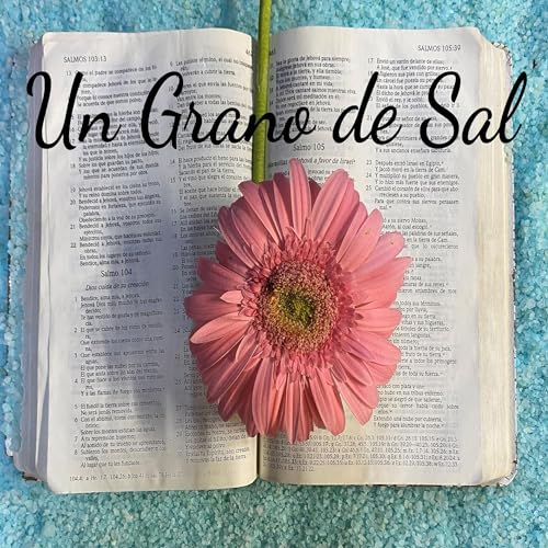 Un Grano de Sal