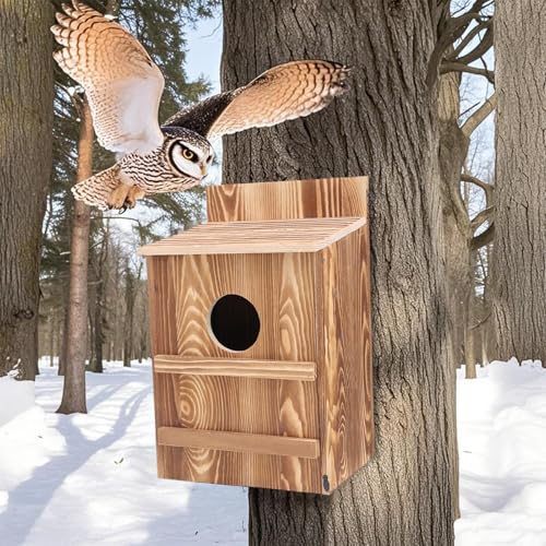 Grand nichoir pour oiseaux crécerelles avec vis de montage incluses - 2