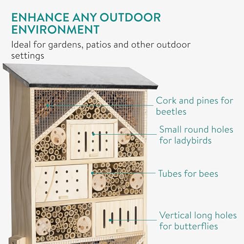 Photo complémentaire