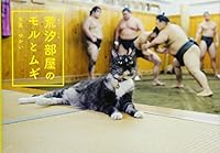 Mori and Mugi, the Sumo Stable Cats 4898154476 Book Cover
