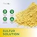 Healov Sulfur Face Mask – All Natural Sulfur Facial Clay Mask – Glowing Skincare For Acne, Spots, Oily Skin – Sulfur Acne Cream Absorbs Excess Oil and Unclogs Pores – Kaolin Mask Treatment