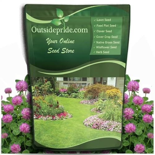 Outsidepride Perennial Red Clover Seeds - 2 lbs. Self-Seeding, Nitrocoated, Inoculated Clover Seeds for Lawn, Yard, Forage, Pasture, Hay, Nitrogen Fixation, Soil Improvement & Crop Rotation Programs
