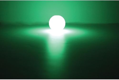 Miniatura 5 de Chuckit! Max Glow Ball Toy para perros - Pequeña 2 pulgadas de diámetro