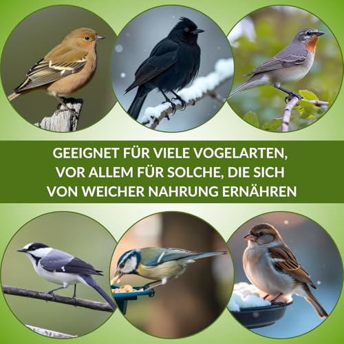 Fettfutter Vogelfutter für Wildvögel – Ganzjähriges Mischfutter mit hohem Fettgehalt, ideales Streufutter für 4 Jahreszeiten (25 kg)