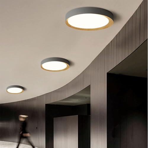 Miniatura 10 de LLUCKYS Lámpara de techo LED de atenuación continua con control remoto regulable LED de techo creativo simple y plano moderno accesorio de montaje