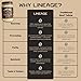 Lineage Provisions - 100% Grass-Fed & Finished Beef Tallow – 3-Pack Glass Jars – US-Raised Cattle – Nose-to-Tail Rendered – Cooking Oil Alternative, Keto & Paleo Friendly