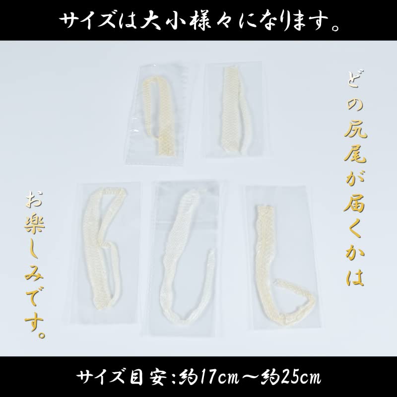 16本！！中サイズ白ヘビの抜け殻まとめ売り 16本！！中サイズ白ヘビの