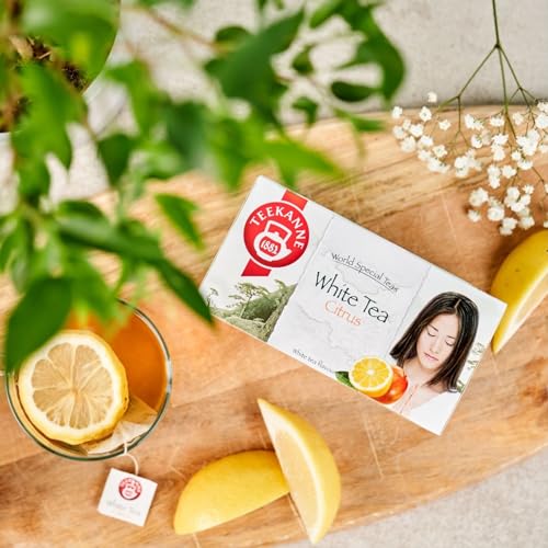 TEEKANNE Big Green & White Tea Collection (6 x 20 Bags) - Grüner und Weißer Tee (Dekond gift) - 180g