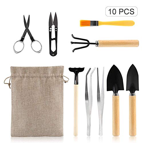 DECDEAL 10 PCS Conjunto de Ferramentas de Plantio de Jardim Bonsai Suculenta Transplantação Miniatur