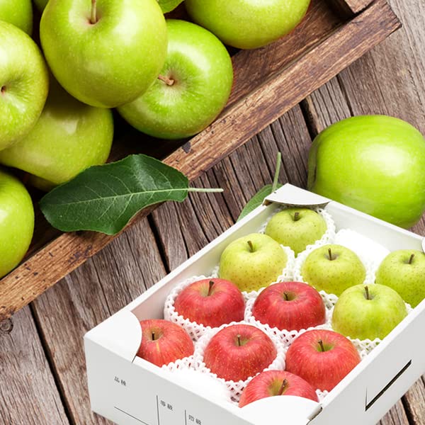 北のデリシャス 山形県産 りんご サンふじ＆王林 詰め合わせ (秀品/常温品) 林檎 お歳暮 ギフト 贈り物 贈答 お祝い 内祝い ご家庭用 産地直送 果物 フルーツ お取り寄せ