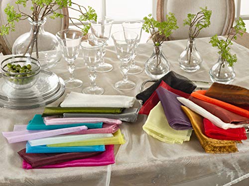 Servilletas Elegantes de Organza 20x20 Pulgadas, Set de 12 miniatura 3