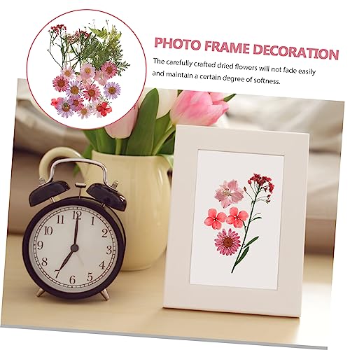 Flores secas naturales para manualidades DIY miniatura 4
