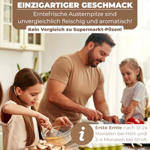 Hawlik Pilzbrut I das Original I Austernpilze als Dübel-Brut zum selber züchten - kinderleicht frische Pilze ernten - 20 Pilzdübel für die Zucht auf Holz, Stroh und Kaffeesatz.