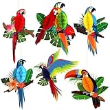 List of Colorful Tropical Birds 9 6 Pieces Tropical Birds Parrot Honeycomb Cutouts - Hawaiian Luau Tropical Party Decorations for Summer Beach Jungle Safari Rainforest Theme Birthday Party Home Classroom Décor