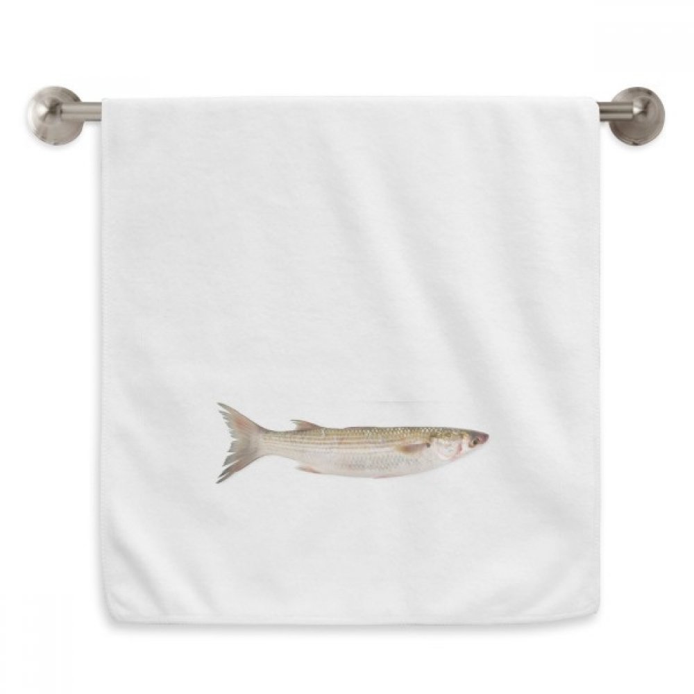 Serviettes débarbouillettes Poisson de mer Frais pour éliminer l'humidité du visage