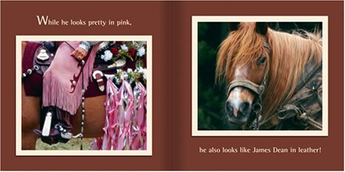 Dump Him, Marry the Horse!: Why a Horse Is a Better Match Than a Man