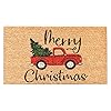 Calloway Mills AZ106331729 Christmas Fun Doormat 17 x 29 Multicolor