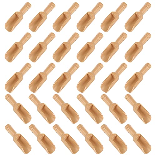 JMIATRY Lot de 30 mini cuillères en bois, 2,3 x 7,9 cm, cuillère à bonbons en bois et cuillère à poudre de lavage, mini cuillère en bois pour sels, miel, céréales, épices, thé et grains de café Cover