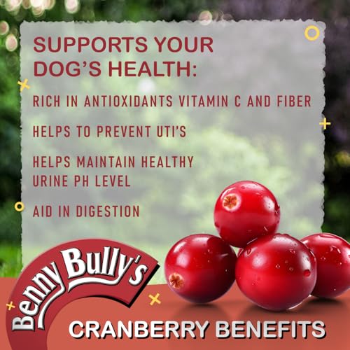 Benny Bullys Beef Liver Plus Cranberry, Freeze Dried Dog Treats, Low Fat, High Protein, Nutrient Rich, for Urinary Health - 58g (Medium) image 1
